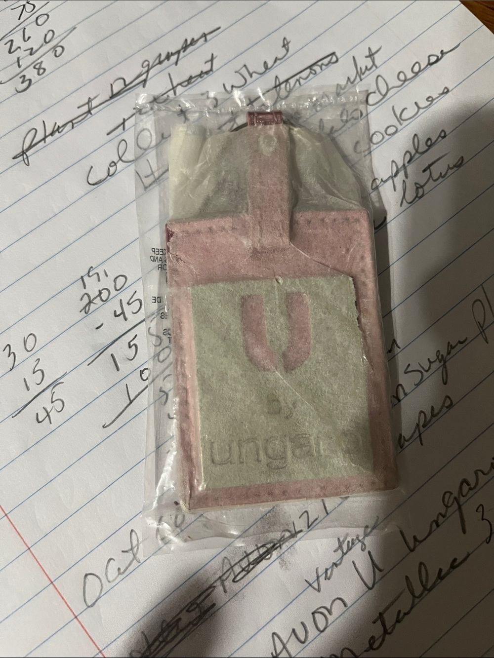 Ungaro key chain